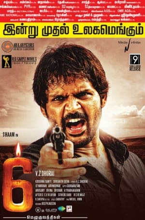 6 Candles (2013) Dubbed | Hindi Full Movie HDRip [950MB]
