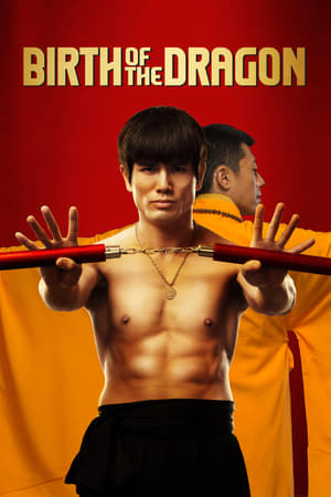 Birth of the Dragon (2016) Dual Audio | Hindi Full Movie BluRay [1.2GB]
