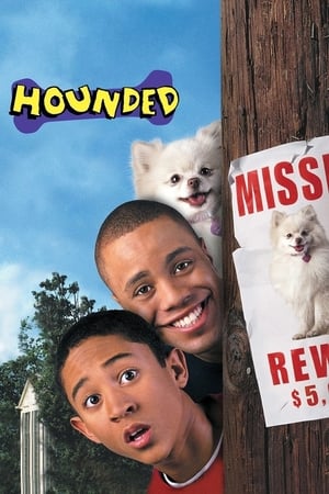 Hounded 2001 Dual Audio | Hindi Full Movie BluRay 310MB