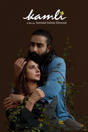 Kamli (2022) Urdu Movie HDCAM | Hindi Full Movie – 480p