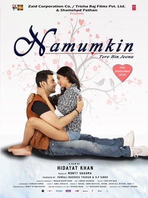 Namumkin Tere Bin Jeena 2020 Movie | Hindi Full Movie HDRip – [300MB]