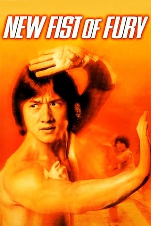 New Fists of Fury 1976 Dual Audio | Hindi Full Movie BluRay 360MB