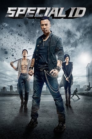 Special ID (2013) Dual Audio | Hindi Full Movie BluRay [1.3GB] ESubs