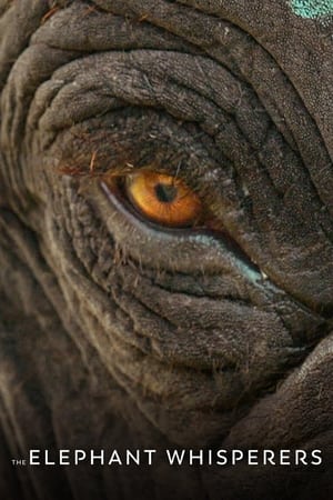The Elephant Whisperers (2022) Dual Audio HDRip | Hindi Full Movie – 480p